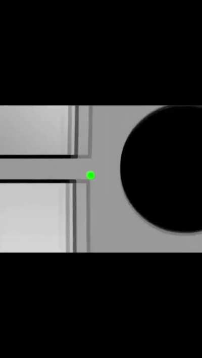 Esto pertenece aquí.