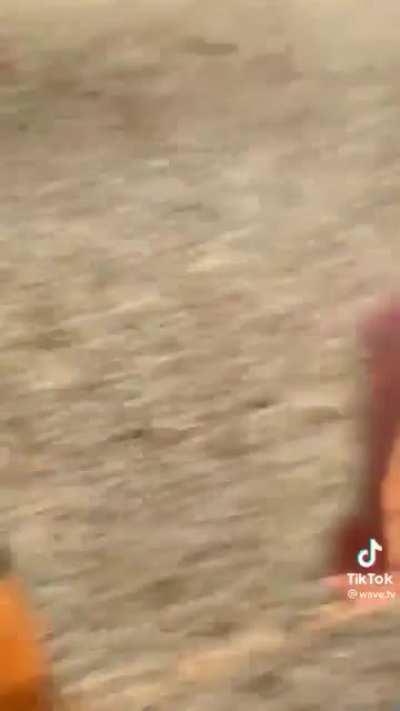 Little bit of fun at the playground