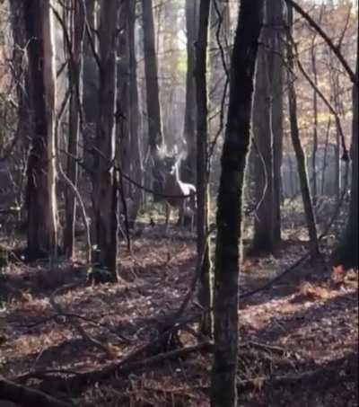 The stuff of nightmares.