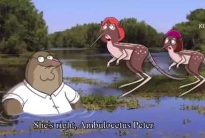 The main mod for a discord server i'm in posted this and pinged everyone so i thought i'd share it with y'all