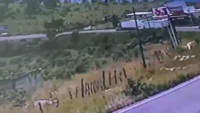 Driving skills is over 9000