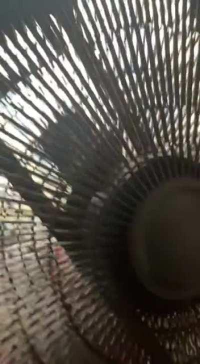 Why does my fan does this sound