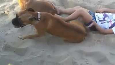 To remove a dog by kicking...