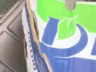 SADC forces engaging Rawandan backed M23 Rebels on the outskirts of Goma DRC, 25th January 2025