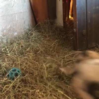 In and out and in and out