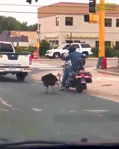 Иди сюда, ты, ублюдок, мать твою