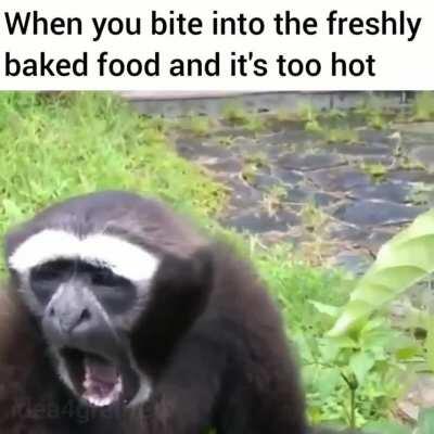 Eating Hot Pockets be like