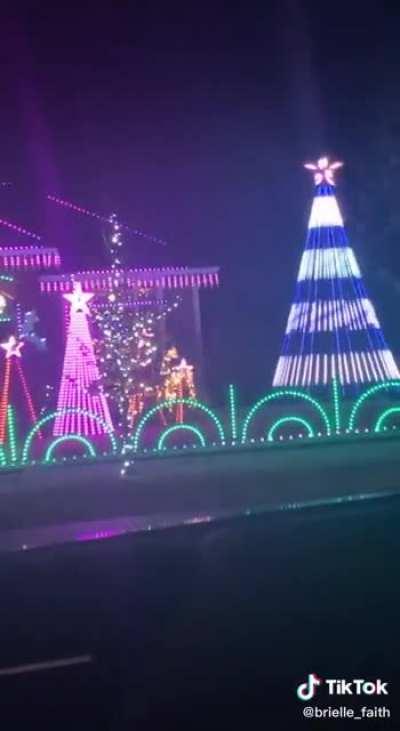 Caught these trees in a quarrel