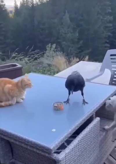 There’s so much going on here