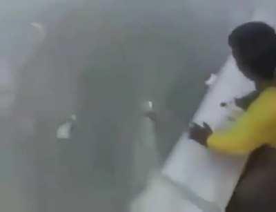 Don’t know if this counts.