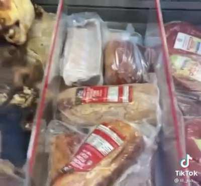 X returning to public NoPixel trying to be nice