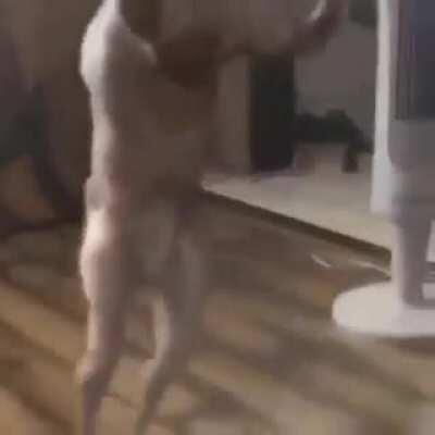 When the anti vax parents tell their kid he's finally gonna get a vaccine