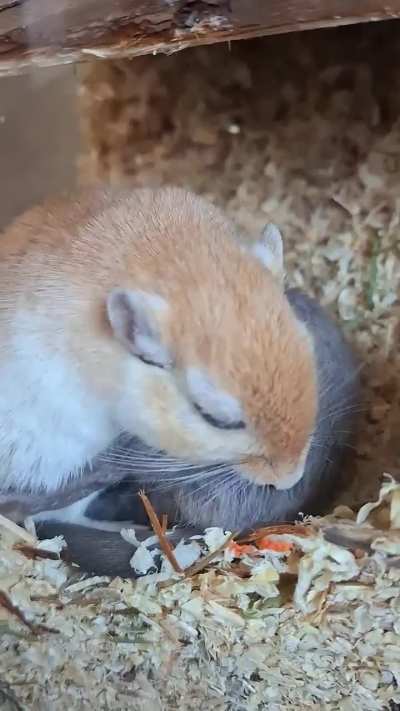 A little bit of love