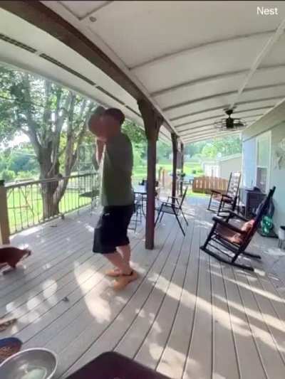 Is this the most aggressive squirrel on the planet?