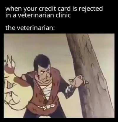 Sorry doggo but you gotta go