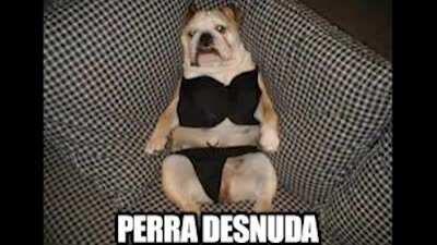 Literalmente tu madre