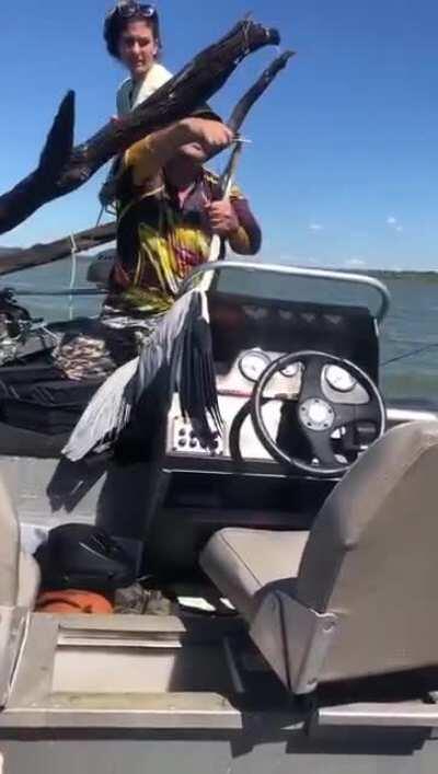 A hanging heron, found by a Brazilian family, patiently awaits while a thread is untangled from its nozzle