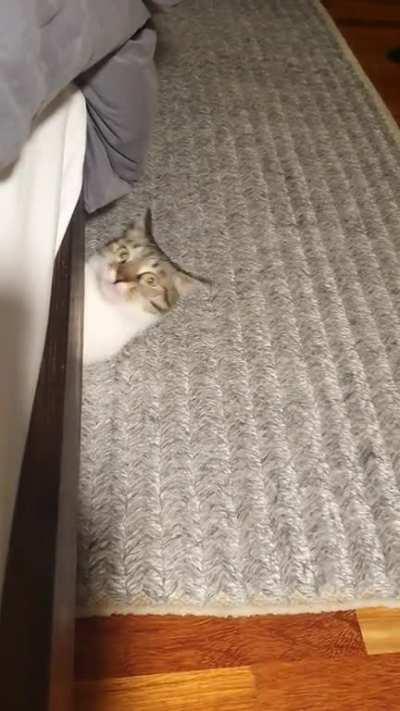 .... oh no. Greebles! HIDE!!