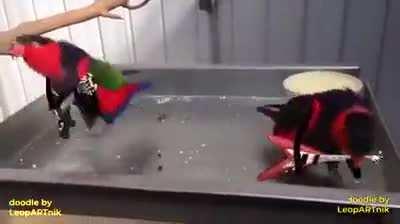 What is the name of this band?