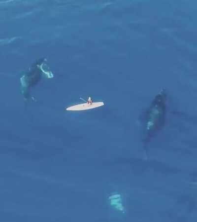 Мы летим, а вы ползете