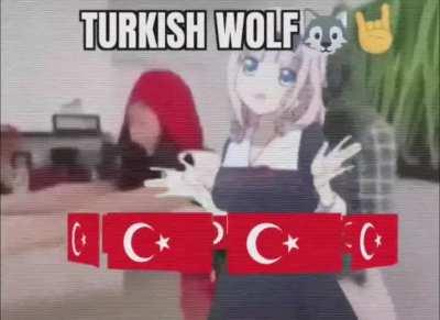 How Turks🇹🇳🇹🇳 came to be