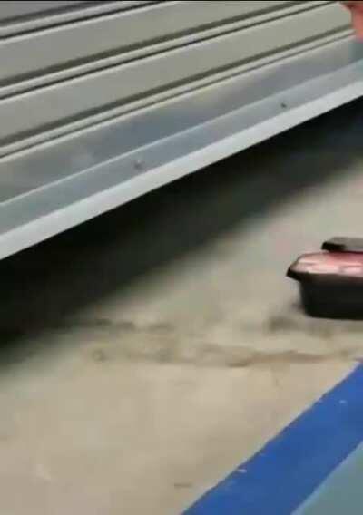 Story of the Stock Market.