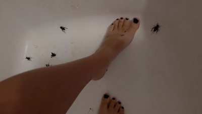 Bella crush crickets under her power