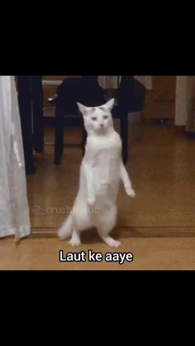 One more masterpiece after mahesh dalle