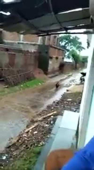 Riding a tyre down the slope?