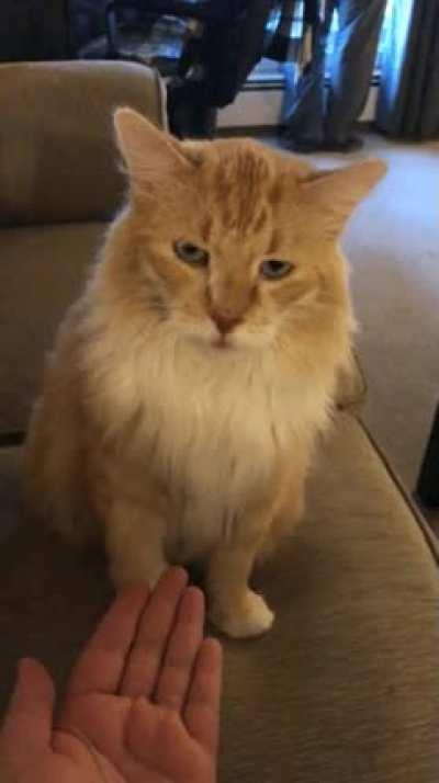 The post that started it all