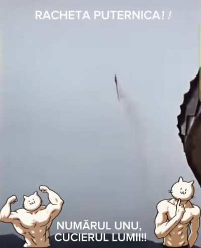 Beware BUSSYMER! Elsweyr STRONG! Khajiit stole dwemer technology☝️☝️ now we unstoppable. Elsweyr forever!!