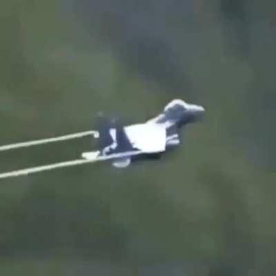 I don’t even know what’s going on.