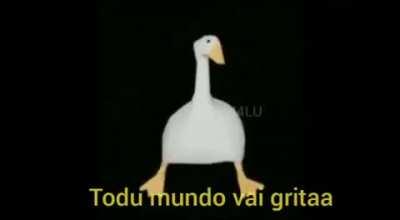 Ganso de Sapucaia está de volta!