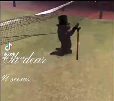 What bizarre act is the K9 performing?