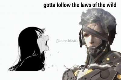 now with rules of nature