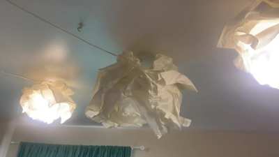 What in the actual….