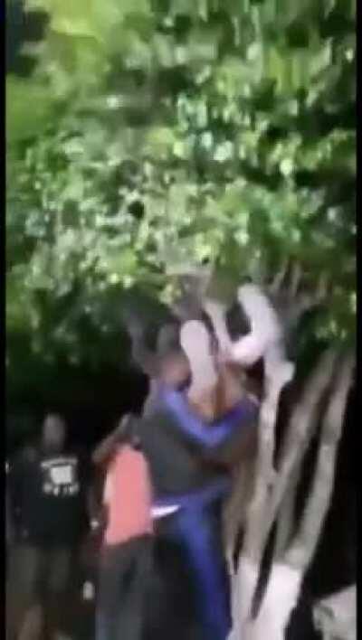 macaco🐒+mulher👩: