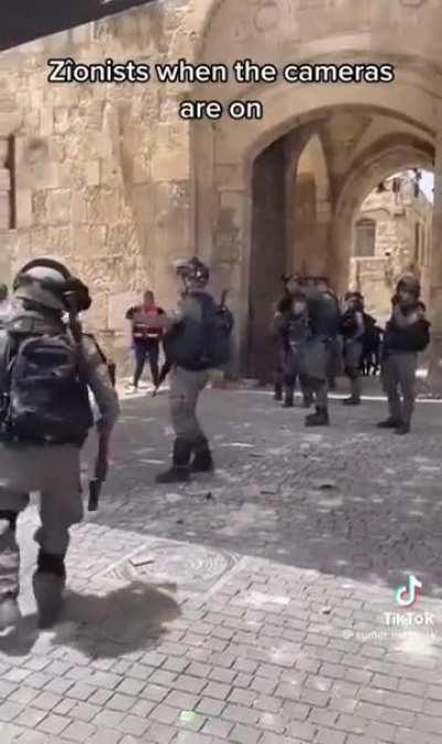 A year old video of an IOF soldier stopping himself throwing a grenade into a civilian crowd when he sees the camera (from r/israelexposed)