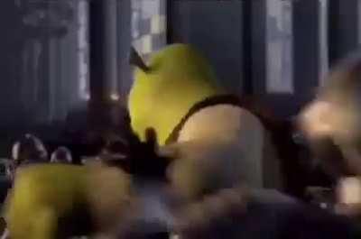 EarRapeShrekGoesBrrrrrr…