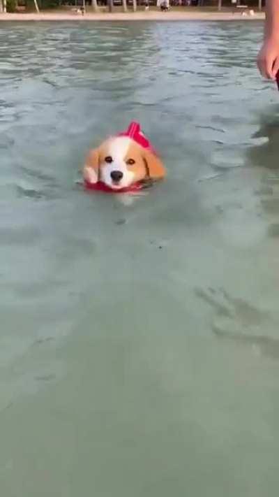 Swimming lessons