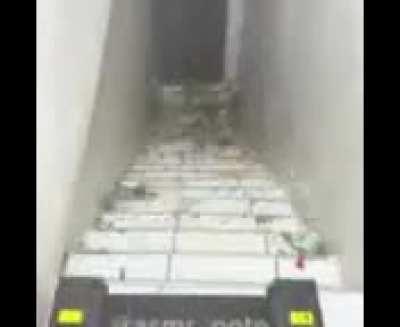 I wanna die 🔥🔥🗣️💯💯