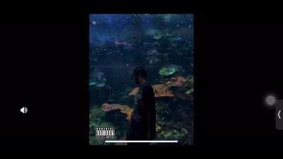 Top 10 BruceDropEmOff Freestyles (let me know if there’s a freestyle that I forgot)