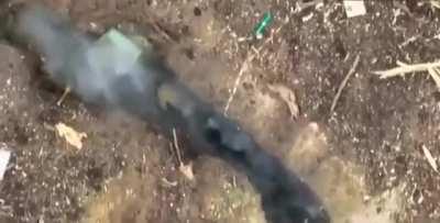 GRAPHIC - UAV operators are hunting and destroying invaders