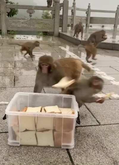 take as much as you can