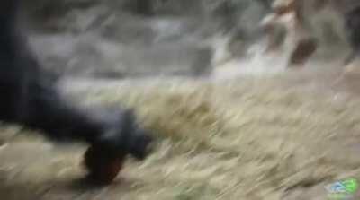 🔥 This gorilla casual opening a snack