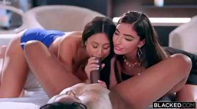 [reddit] nothing like worshiping a fat juicy cock with your best friend