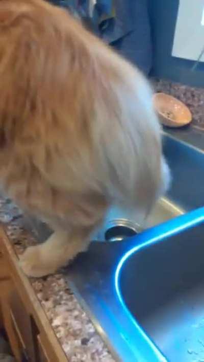 “I’ll show you max damage!”1