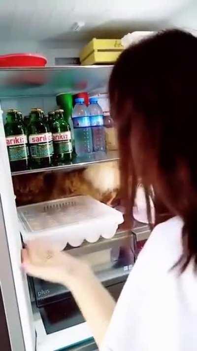 Will not go out no way no