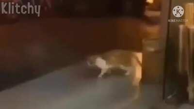 Error communication in a nutshell (ignore the app watermark)