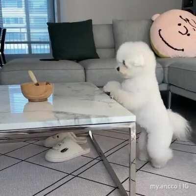 Yoga or Dance? Anyway its cute